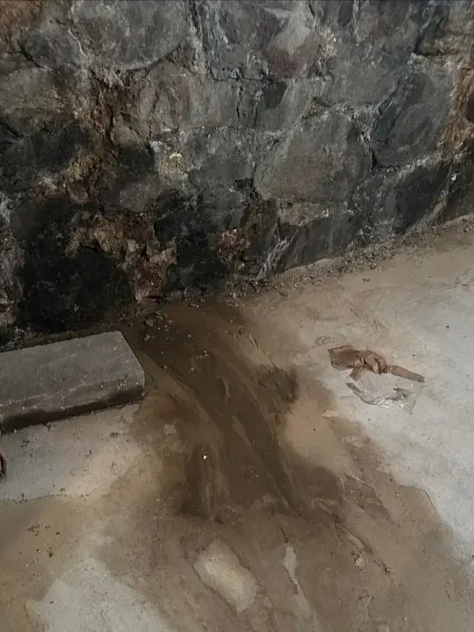 Groundwater seeping from an old stone foundation wall onto a basement floor