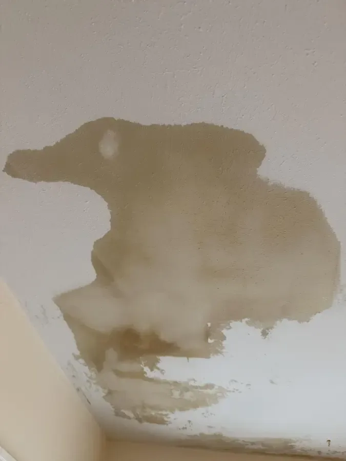 Brown water stain spreading across a top-floor ceiling under a flat roof